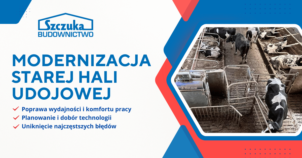 Modernizacja starej hali udojowej – na co zwrócić uwagę?