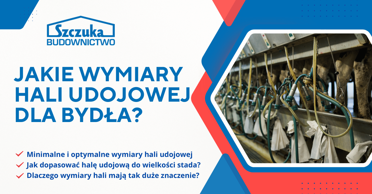 wymiary hali udojowej dla bydła – optymalne wymiary, dopasowanie do stada, znaczenie parametrów