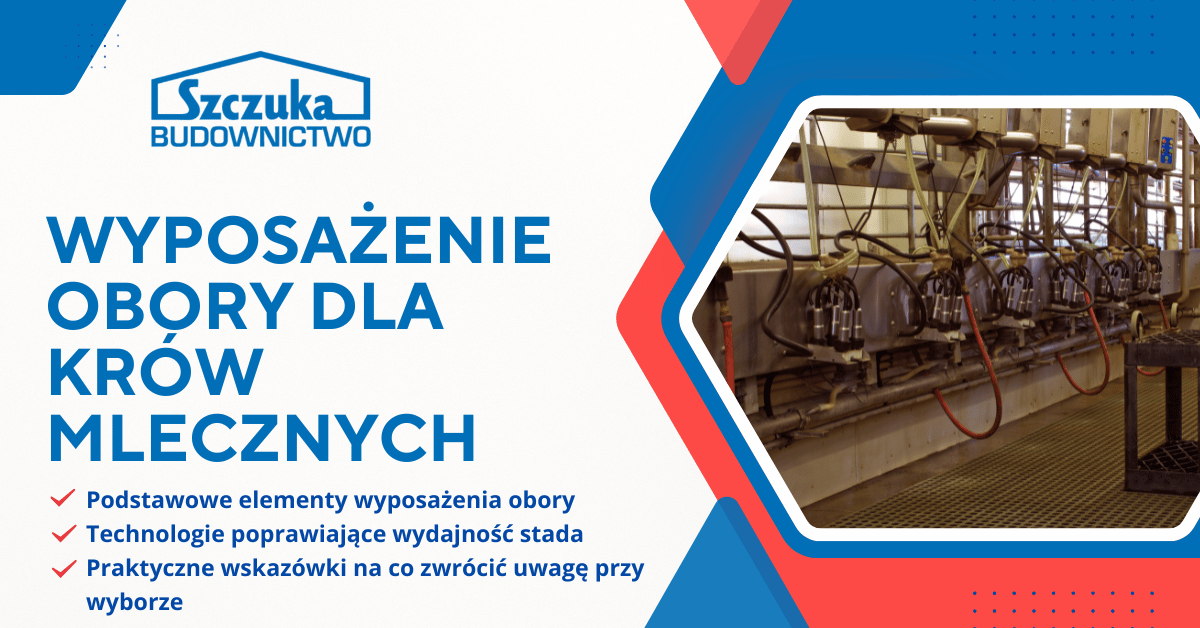 wyposażenie obory dla krów mlecznych – podstawowe elementy, technologie poprawiające wydajność, wskazówki przy wyborze